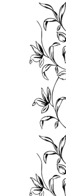 成长纪念册的花边图案简笔画