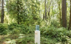 自然中饮水机图片