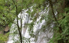 林间瀑布图片