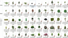 草图大师120个sketchup植物模型图片