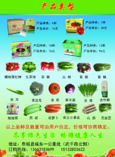 蔬菜产品类型图片