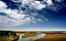 第一塔里木河自然景观图片