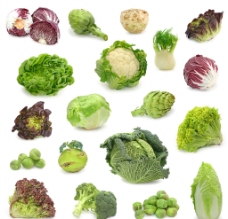 各种绿色蔬菜图片