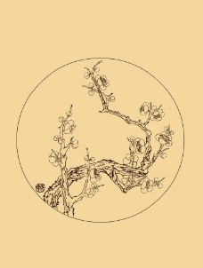 折枝白描梅花图片