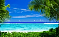 度假热带海滩图片