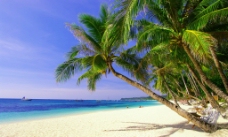 热带海滩 海边风景图片