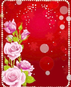 玫红色玫瑰玫瑰花框图片