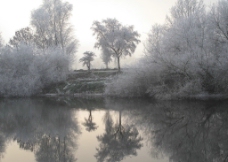 湖边挂满冰花的树图片